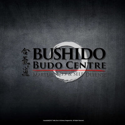 Logo Designer Edmonton