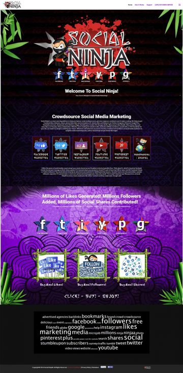 Social Ninja Website Design