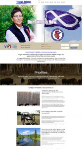 Tracy Friedel Campaign Website Design