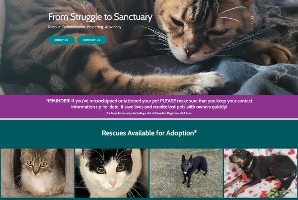 Pets in Need Alberta Animal Rescue, Animal Foster - Web Design by Alchemy Imageworks