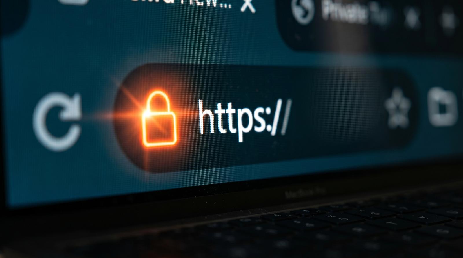 Website security and data protection illustration